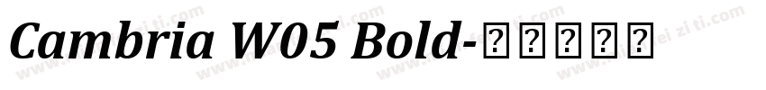 Cambria W05 Bold字体转换